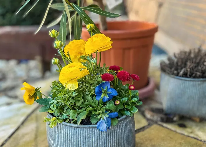 شقة Bei Fredy لانغنارغن